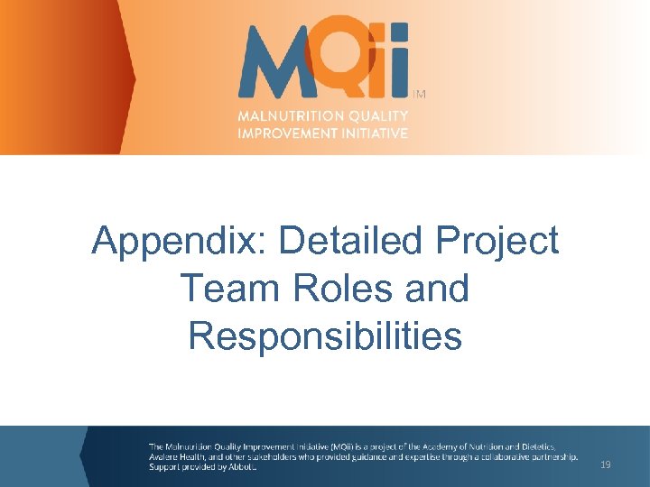 Appendix: Detailed Project Team Roles and Responsibilities 19 