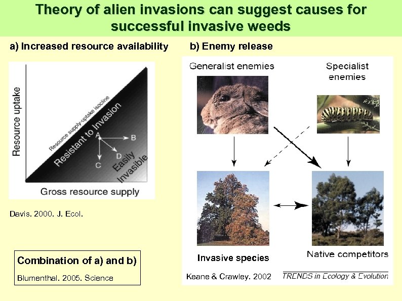 Theory of alien invasions can suggest causes for successful invasive weeds a) Increased resource