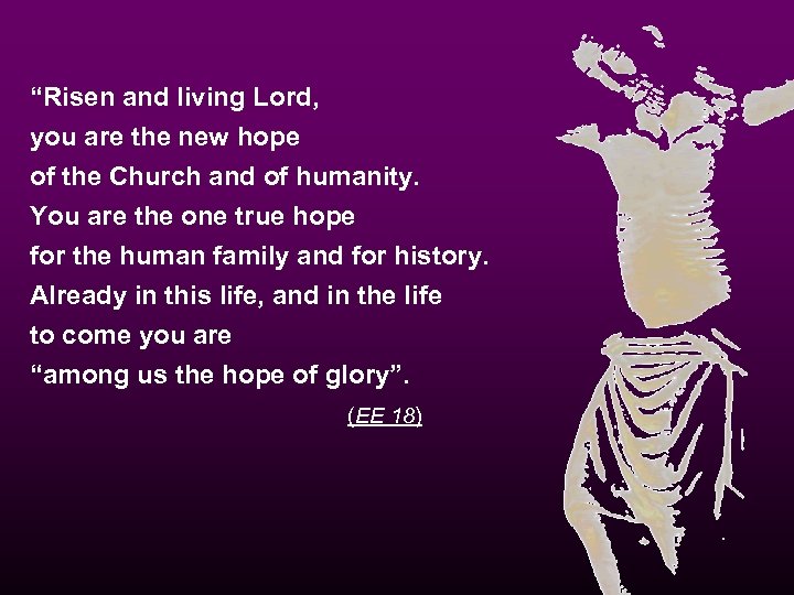 “Risen and living Lord, you are the new hope of the Church and of
