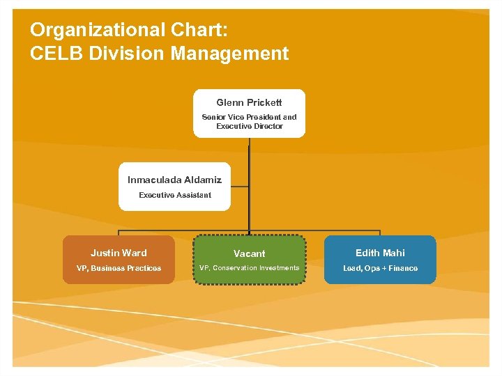 Organizational Chart: CELB Division Management Glenn Prickett Senior Vice President and Executive Director Inmaculada