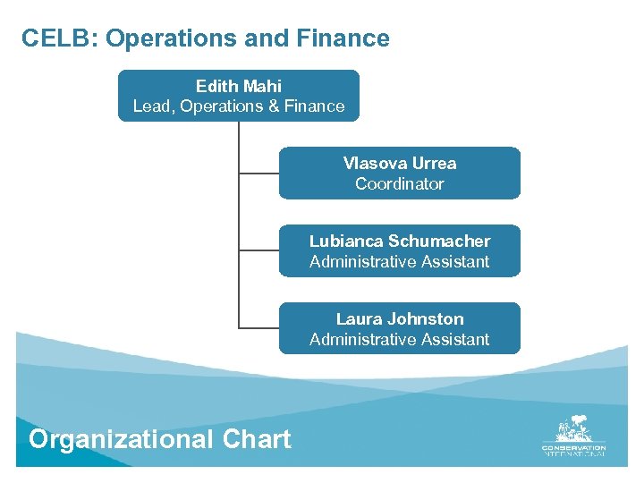CELB: Operations and Finance Edith Mahi Lead, Operations & Finance Vlasova Urrea Coordinator Lubianca