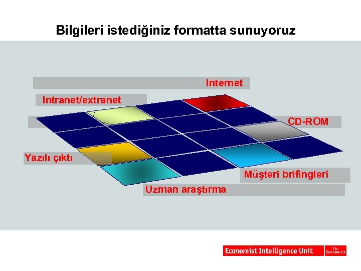 Bilgileri istediğiniz formatta sunuyoruz Internet Intranet/extranet CD-ROM Yazılı çıktı Müşteri brifingleri Uzman araştırma 