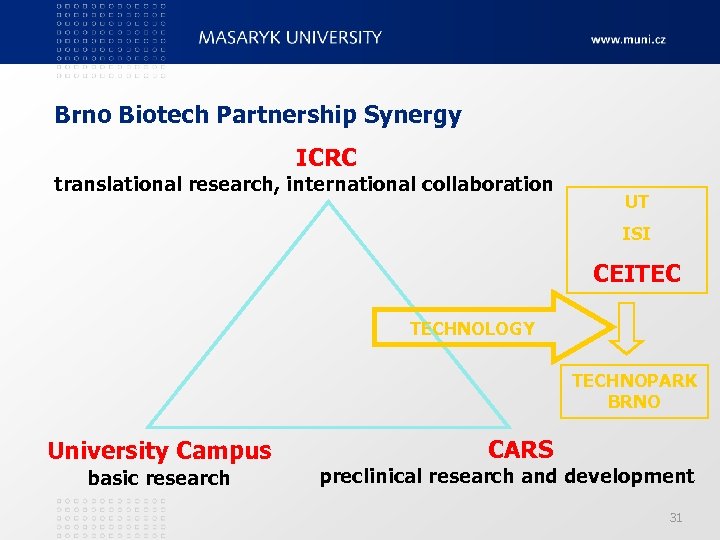 Brno Biotech Partnership Synergy ICRC translational research, international collaboration UT ISI CEITEC TECHNOLOGY TECHNOPARK