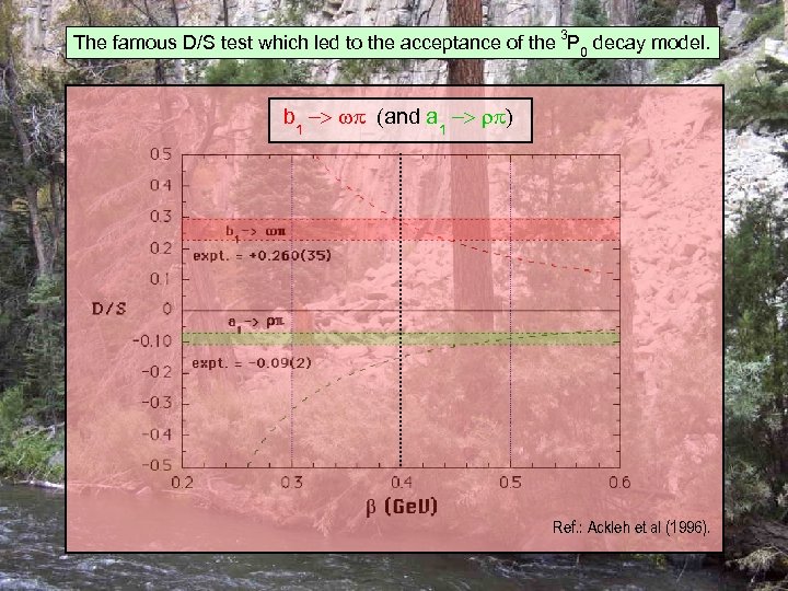 The famous D/S test which led to the acceptance of the 3 P 0