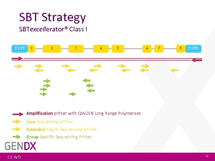 SBT Strategy SBTexcellerator® Class I Amplification primer with QIAGEN Long Range Polymerase Core Sequencing