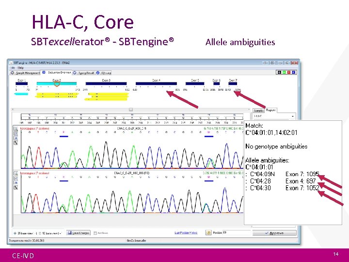 HLA-C, Core SBTexcellerator® - SBTengine® CE-IVD Allele ambiguities 14 