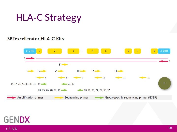 HLA-C Strategy CE-IVD 20 