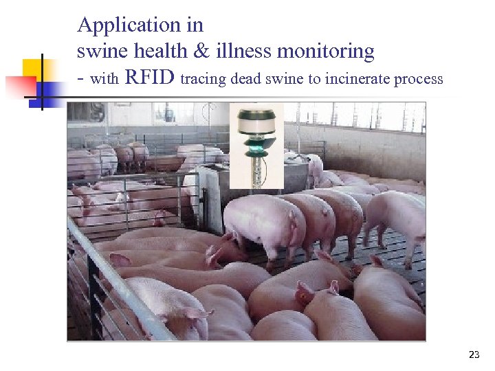 Application in swine health & illness monitoring - with RFID tracing dead swine to