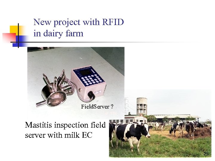 New project with RFID in dairy farm Field. Server ? Mastitis inspection field server
