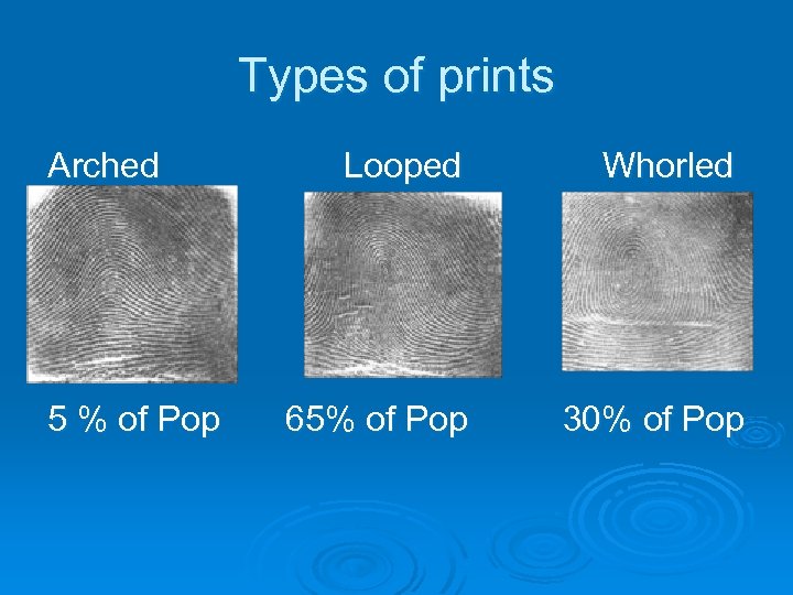 Types of prints Arched Looped 5 % of Pop 65% of Pop Whorled 30%