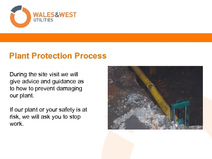 Plant Protection Process During the site visit we will give advice and guidance as