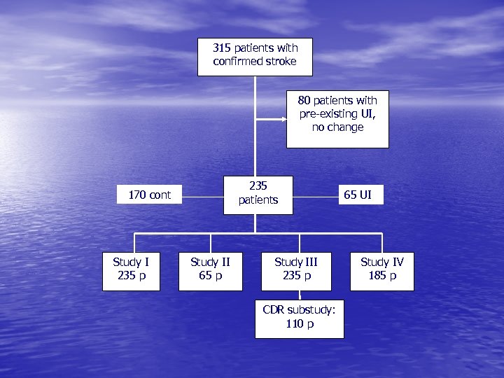 315 patients with confirmed stroke 80 patients with pre-existing UI, no change 235 patients