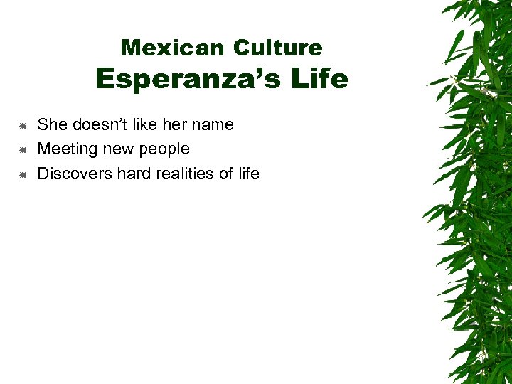 Mexican Culture Esperanza’s Life She doesn’t like her name Meeting new people Discovers hard