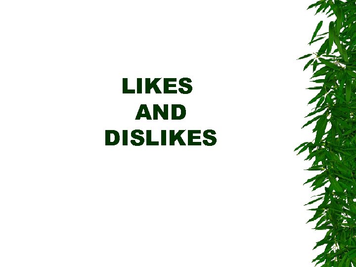 LIKES AND DISLIKES 