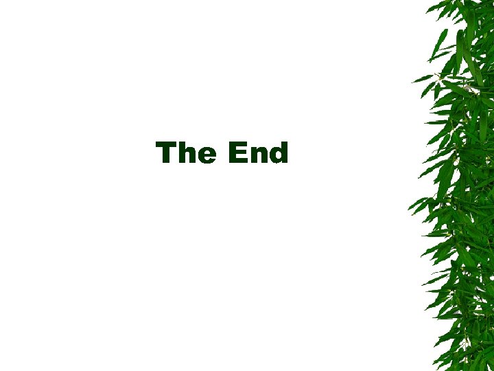 The End 