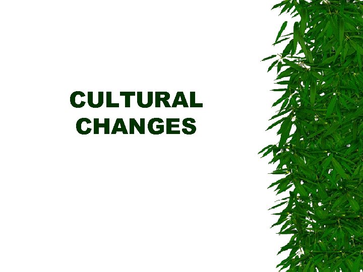 CULTURAL CHANGES 