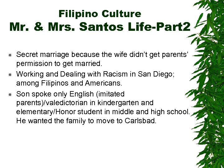 Filipino Culture Mr. & Mrs. Santos Life-Part 2 Secret marriage because the wife didn’t