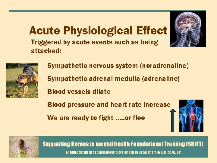 Acute Physiological Effect Triggered by acute events such as being attacked: Sympathetic nervous system
