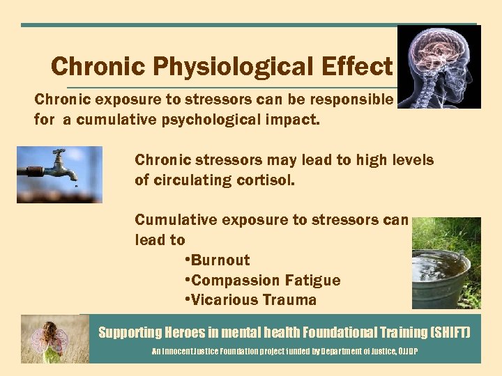 Chronic Physiological Effect Chronic exposure to stressors can be responsible for a cumulative psychological