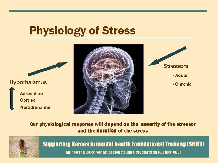 Physiology of Stressors - Acute Hypothalamus - Chronic Adrenaline Cortisol Noradrenaline Our physiological response