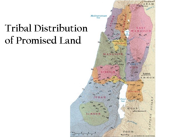 Tribal Distribution of Promised Land 