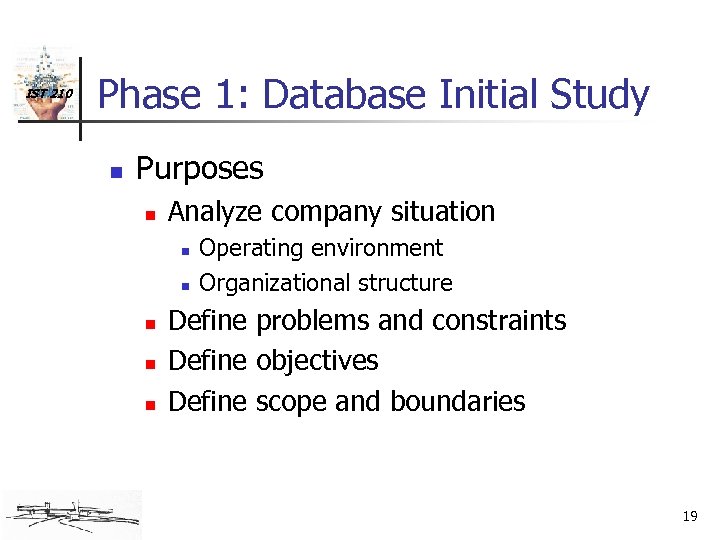 IST 210 Phase 1: Database Initial Study n Purposes n Analyze company situation n