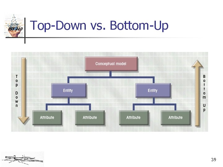 IST 210 Top-Down vs. Bottom-Up 39 
