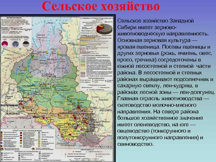 Сельское хозяйство Западной Сибири имеет зерновоживотноводческую направленность. Основная зерновая культура — яровая пшеница. Посевы