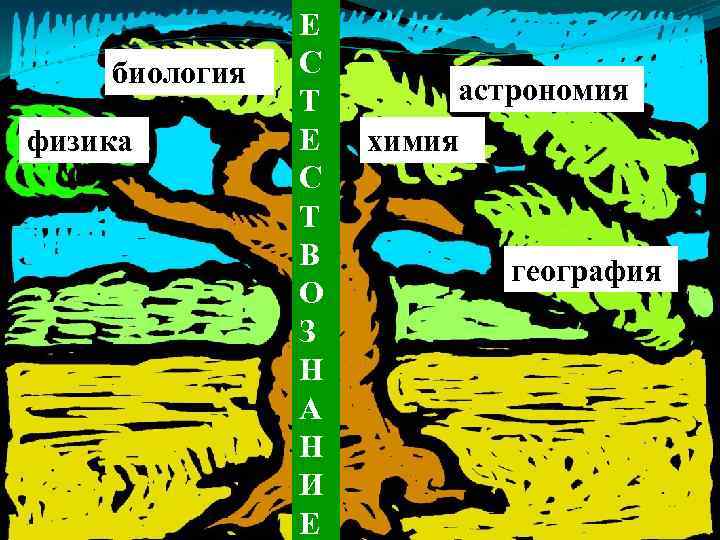 биология физика Е С Т В О З Н А Н И Е астрономия