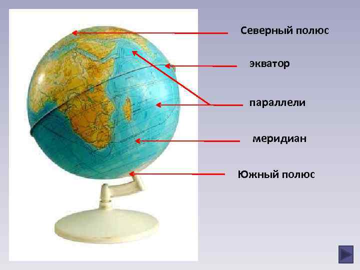 Северный полюс экватор параллели меридиан Южный полюс 