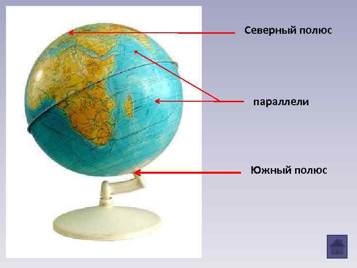 Северный полюс параллели Южный полюс 