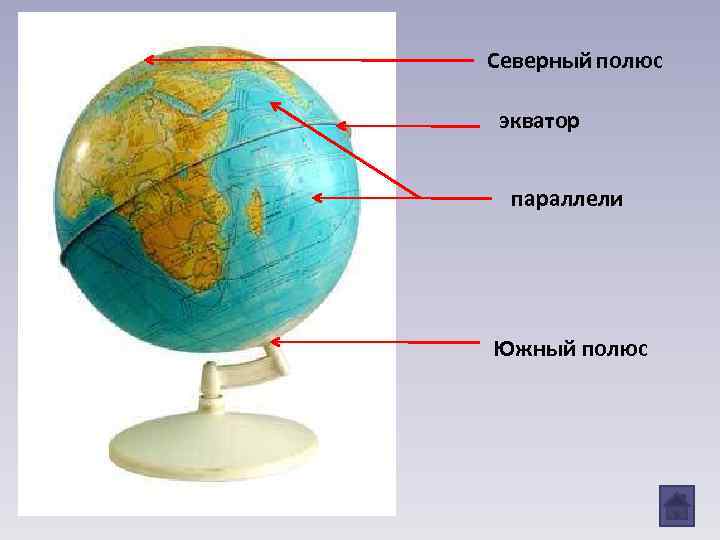 Северный полюс экватор параллели Южный полюс 
