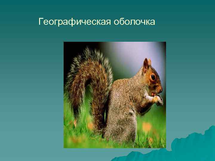 Географическая оболочка 