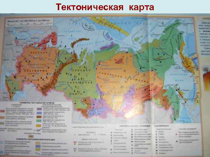 Тектоническая карта 