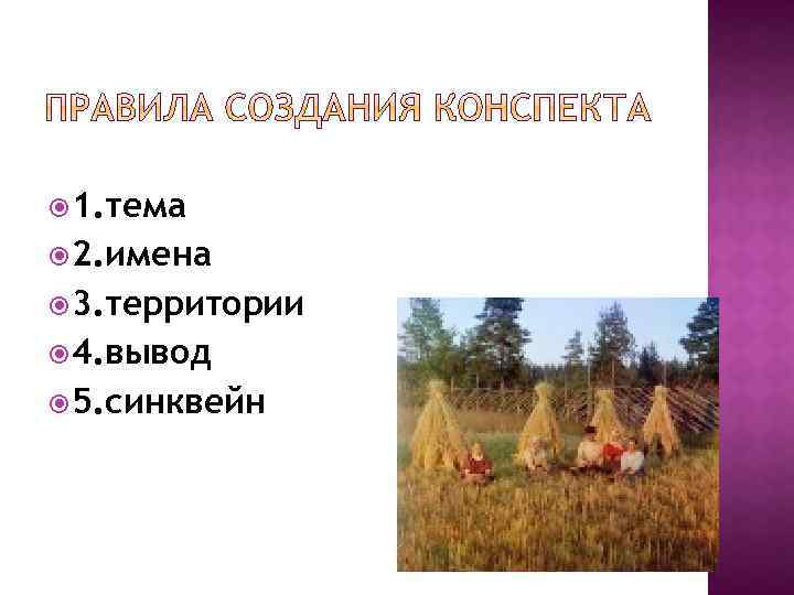  1. тема 2. имена 3. территории 4. вывод 5. синквейн 