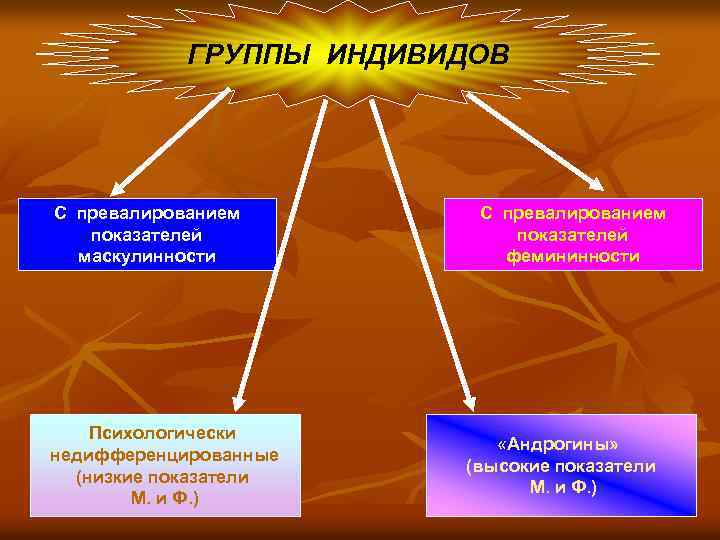 ГРУППЫ ИНДИВИДОВ С превалированием показателей маскулинности Психологически недифференцированные (низкие показатели М. и Ф. )