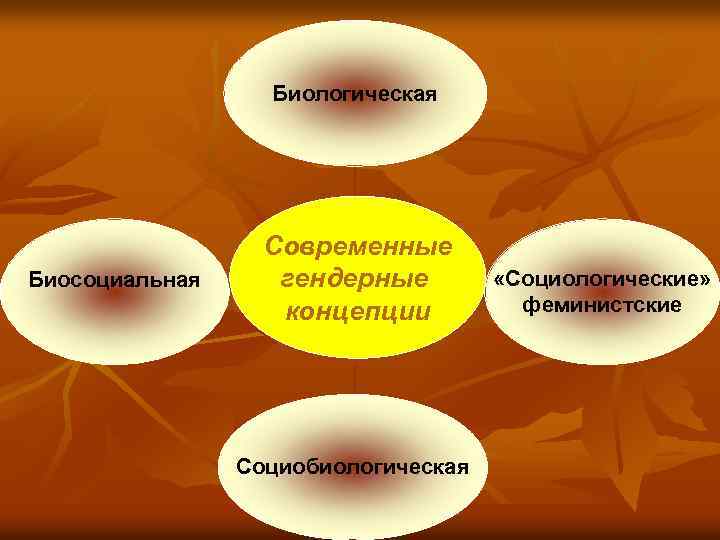 Биологическая Биосоциальная Современные гендерные концепции Социобиологическая «Социологические» феминистские 