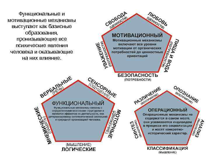 Функциональные и мотивационные механизмы выступают как базисные образования, пронизывающие все психические явления человека и