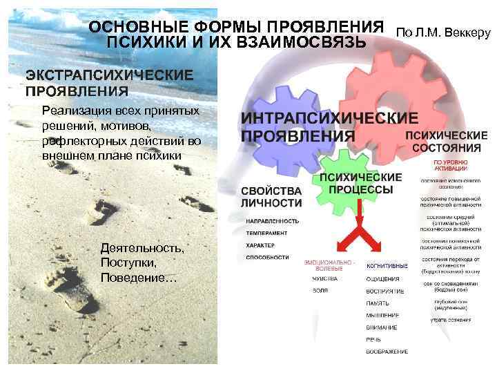 ОСНОВНЫЕ ФОРМЫ ПРОЯВЛЕНИЯ ПСИХИКИ И ИХ ВЗАИМОСВЯЗЬ Реализация всех принятых решений, мотивов, рефлекторных действий