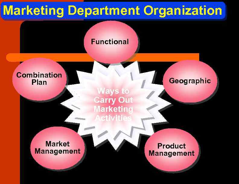 Marketing Department Organization Functional Combination Plan Market Management Geographic Ways to Carry Out Marketing