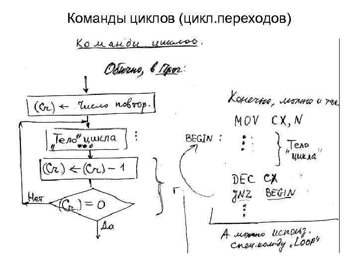 Команды циклов (цикл. переходов) 