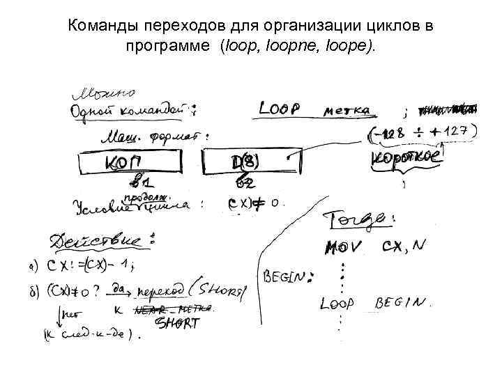 Команды переходов для организации циклов в программе (loop, loopne, loope). 