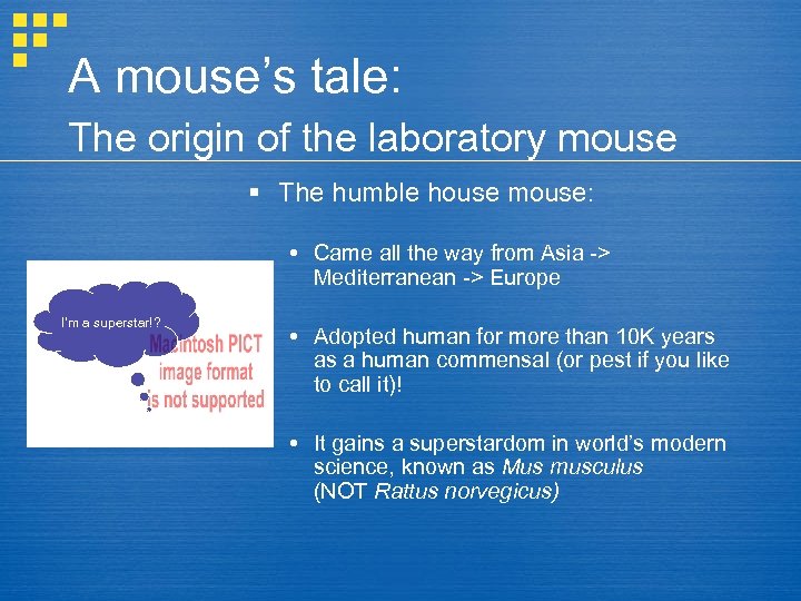 A mouse’s tale: The origin of the laboratory mouse § The humble house mouse: