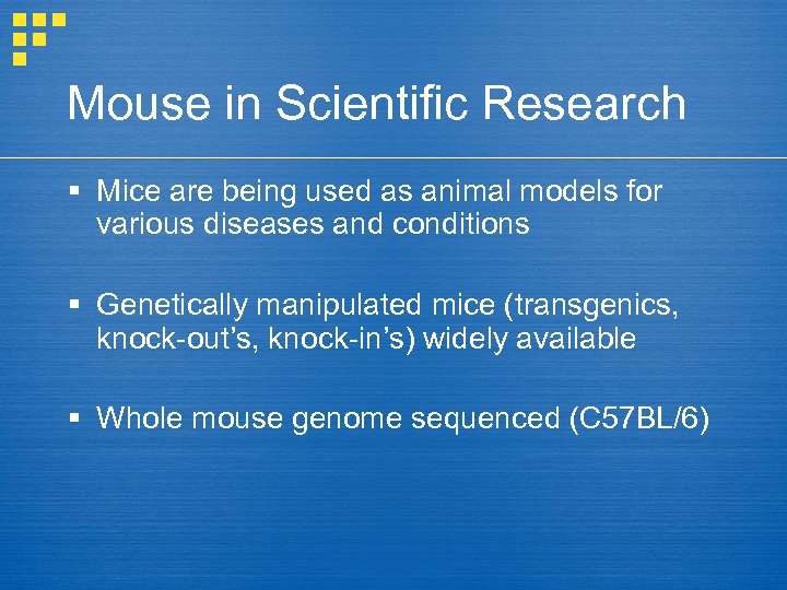 Mouse in Scientific Research § Mice are being used as animal models for various