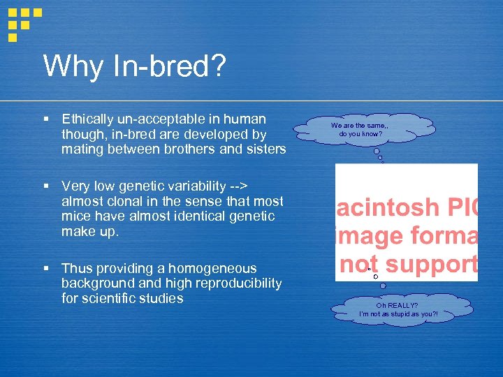 Why In-bred? § Ethically un-acceptable in human though, in-bred are developed by mating between