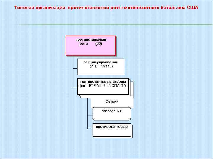 Типовая организация противотанковой роты мотопехотного батальона США противотанковая рота (65) секция управления ( 1