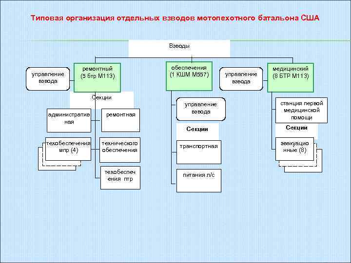 Структура типовой организации