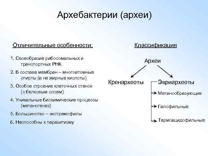 Особенности архебактерий