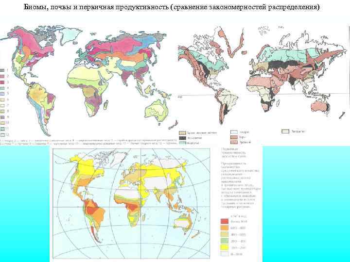 Биомы суши карта