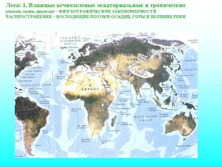 Биофилотические царства и области суши карта